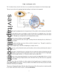 The Eye - Savita Pall and Chemistry