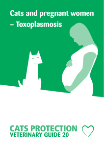 Cats and pregnant women – Toxoplasmosis