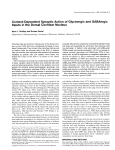 Context-Dependent Synaptic Action of Glycinergic and GABAergic