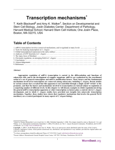 Transcription mechanisms