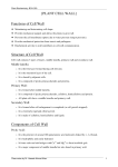 [PLANT CELL WALL] Functions of Cell Wall Structure of Cell Wall