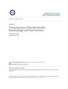 Characterization of Five Brevibacillus Bacteriophages and Their