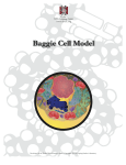 Baggie Cell Model - DNALC::Protocols