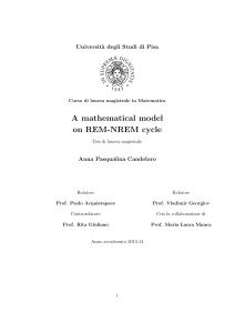 A mathematical model on REM-NREM cycle