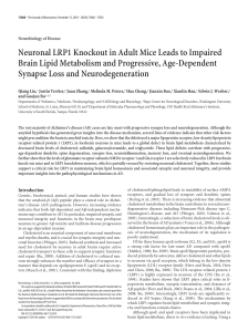Neuronal LRP1 Knockout in Adult Mice Leads to Impaired Brain