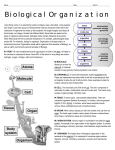 Biological Organization