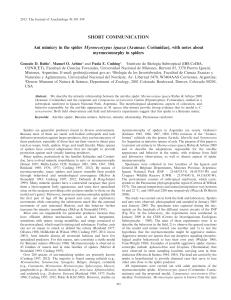 SHORT COMMUNICATION Ant mimicry in the spider Myrmecotypus