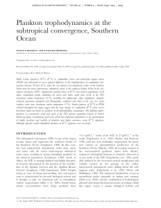 Plankton trophodynamics at the subtropical convergence, Southern