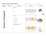 Passive Transport