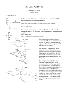 The Citric Acid Cycle