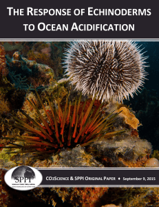 the response of echinoderms to ocean acidification