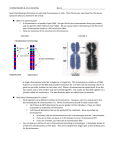 Cells and Chromosomes Reading Sheet File