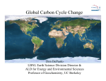 Global Carbon Cycle Change