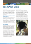 THE WATER CYCLE