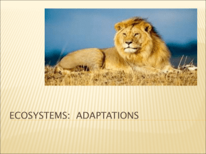 Ecosystems and Adaptations
