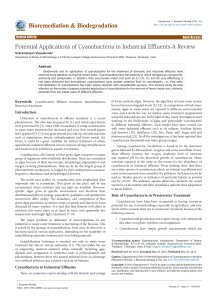 Potential Applications of Cyanobacteria in Industrial Effluents