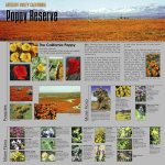 Poppy Reserve Brochure