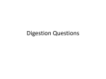 Digestion Questions File