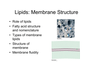 Lipids: Membrane Structure