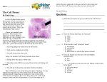 The Cell Theory Questions