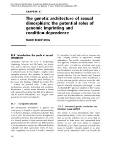 The genetic architecture of sexual dimorphism: the potential roles of