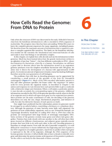How Cells Read the Genome: From DNA to Protein