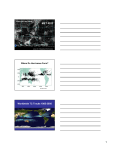 LECTURE 12: Formation - FIU Faculty Websites