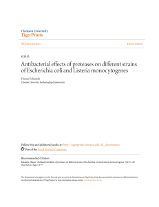 Antibacterial effects of proteases on different strains of