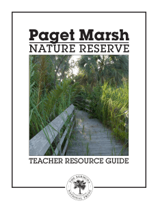 Paget Marsh - Bermuda Department of Education