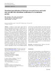 Functional specialization of Medicago truncatula leaves and