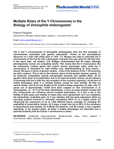 Multiple Roles of the Y Chromosome in the Biology of