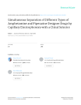 Simultaneous Separation of Different Types of Amphetamine and