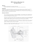 BIOL 347 General Physiology Lab The Special Senses