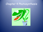 Chapter 4 Photosynthesis - Honors Biology 16-17