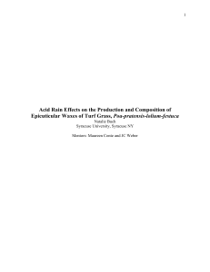 Acid Rain Effects on the Production and Composition of Epicuticular