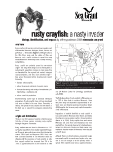Rusty Crayfish: A Nasty Invader