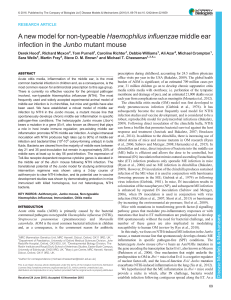 A new model for non-typeable Haemophilus influenzae middle ear