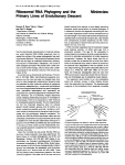 Pace et al: 1986, Ribosomal RNA Phylogeny and the Primary Lines