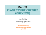 PlantBioII-PLANT TISSUE CULTURE