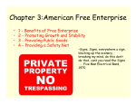 Chapter 3:American Free Enterprise