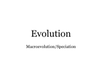 Macroevolution/Speciation