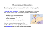 Macromolecular Interactions