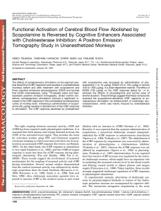 Functional Activation of Cerebral Blood Flow Abolished by
