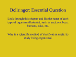 Bellringer: Essential Question