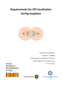 Requirements for CPC localization during anaphase