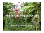 Tropical Gardening in Our Zone