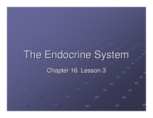 The Endocrine System