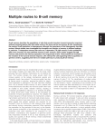 Multiple routes to B-cell memory