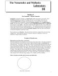 Lab 10 nematodes mollusks - FacultyWeb Support Center