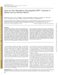 Gene for Pain Modulatory Neuropeptide NPFF